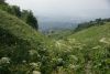 DSC05295.thumb.JPG.ada83bbf8beb85446d93258d41a3e154.JPG