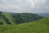 DSC05297.thumb.JPG.4ee5a41c2c2eba9684097845862628f6.JPG