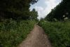DSC05309.thumb.JPG.8f35b041c5c100efbdb094f2ead98cc5.JPG