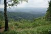 DSC05313.thumb.JPG.e9c3dbd5e3aae1a6a3315a1e3aee60cf.JPG