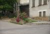DSC05361.thumb.JPG.a0adccefcab4f00d9e5c1456813c6436.JPG