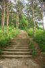 DSC05641.thumb.JPG.c24fd2974383428869ba3264b5a181ff.JPG