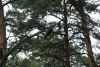 DSC05646.thumb.JPG.e03b0b83134840e03e0c9263d3882882.JPG