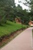 DSC05851.thumb.JPG.80fb97e8b523c0d1c138827164cfceb7.JPG