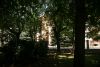 DSC05962.thumb.JPG.7cf8e3f8836bf82b35b03fec2c38ddad.JPG