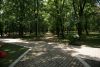 DSC06060.thumb.JPG.df88bccf99d0d80da0ca148c9253abee.JPG