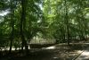 DSC06088.thumb.JPG.bf39a776de9131dd544430eaba5ca250.JPG