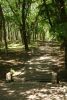 DSC06138.thumb.JPG.cc7a494fbd3310b8386b0b738f9c812b.JPG