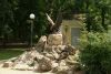 DSC06227.thumb.JPG.7eb36b3cc7812668c8774566331793af.JPG