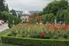 DSC06241.thumb.JPG.9170215faeb1d7a29de1a918b62b8fa3.JPG