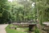 DSC06331.thumb.JPG.023ee0db9d22c261f64e3d3cdcf187c7.JPG