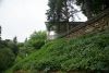 DSC06354.thumb.JPG.f6b65874a2132046cc670d241bb282c1.JPG