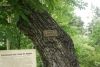 DSC06378.thumb.JPG.7312f93b1f6fd7eb77b94e002a22a6ca.JPG