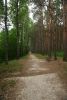 DSC06496.thumb.JPG.b80a3dc1f7d643635c2c5ffd5c90ed2e.JPG