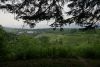 DSC06508.thumb.JPG.8ada158873ff0a96c4ebd3f80e794c0d.JPG