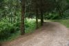 DSC06543.thumb.JPG.fbac95f75a01e1d3193432a9ffc4ce3f.JPG
