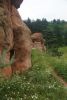 DSC06583.thumb.JPG.30e5a9e8608e548766beb381795fb16f.JPG