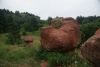 DSC06596.thumb.JPG.1015c4171fa8909d682225558e3a834d.JPG