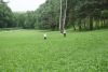 DSC06631.thumb.JPG.13a9bc91cac04fab3ecf21217f6bb325.JPG