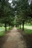 DSC06643.thumb.JPG.1059c359ad59554dda8c213820348cbb.JPG