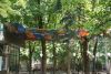 DSC06704.thumb.JPG.b7a87b7902608718c201e4fb916a58de.JPG