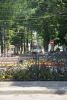 DSC06721.thumb.JPG.aa729091d11a523c5563a59d35cb99c6.JPG