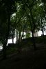 DSC07138.thumb.JPG.72496d10bb0ea84f8f23778cb7135610.JPG