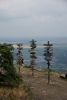 DSC07172.thumb.JPG.92ad4e51be385b8d4aa2f0f42b052a11.JPG