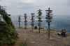 DSC07175.thumb.JPG.6a4209ba200794afaee6369eeaa70504.JPG