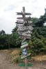 DSC07202.thumb.JPG.c206e389f625289565c7b8887d85f39d.JPG