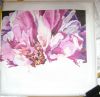 DSC08349.thumb.JPG.6f9ab7575875409b5d72d3cc3b4ee3de.JPG