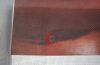 DSCN0078.thumb.jpg.ed7efb1fb2fa64c8bcdae36cf89c3dd3.jpg