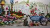 DSC_0020.thumb.JPG.5a4f3a68975c81465cadae1e4d2fdc63.JPG