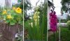 DSC_0581.thumb.JPG.4129d783a839bc620057d89f06d9ce02.JPG