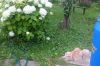 DSC_0587.thumb.JPG.1f7ba8f6eb67b5c5cb28b3f147a82a6d.JPG