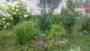 DSC_0594.thumb.JPG.5e2ccbc33d3ac40d0b92eff5fb3af93a.JPG