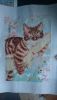 DSC_0616.thumb.JPG.6c927504dc24a6ecbc57179dc90c7904.JPG
