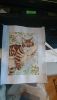 DSC_0621.thumb.JPG.4a2d9b79500600c52910dd34b4a566c1.JPG