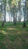 DSC_0630.thumb.JPG.ac9df5040e2ce37b8a2fd06576770ca7.JPG