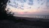 DSC_0655.thumb.JPG.cef31ac5528c154976c47382eb47c308.JPG
