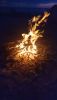 DSC_0658.thumb.JPG.96f1edf75531ba1c5cfc4376dcfce950.JPG
