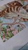 DSC_0668.thumb.jpg.9b997158c561e6198ebc02b062bae7e4.jpg