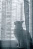 DSC_8665.thumb.jpg.7e3f3f32ae0b58874748d5a254a7d983.jpg