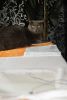 DSC_8677.thumb.jpg.c6a8d0573663178f2c9eda75b2cbb244.jpg