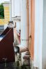 DSC_8706.thumb.jpg.0ca2225b1c6d21abdd8c2c25b360dd65.jpg