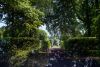DSC_8774.thumb.jpg.e4ab37e9cd4f4f7b40d145353def363e.jpg