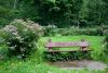 DSC_8995.thumb.jpg.59dd8fbe6b1b345d0f85fffce665b6d8.jpg