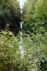 DSC_9038.thumb.jpg.46bfa52e1e5ba24d3069195b1d7e9389.jpg