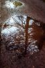 DSC_9040.thumb.jpg.9919c52528923d1494d74dff85c74b92.jpg