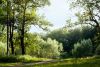 DSC_9042.thumb.jpg.b46ef52a21c31d29448e2bcfb21ef306.jpg